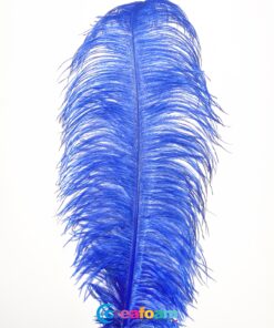 Pluma de avestruz  Azul