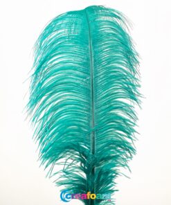 Ostrich Feather Green
