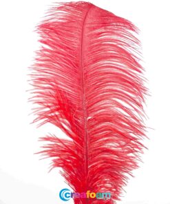 Pluma de avestruz  Rojo