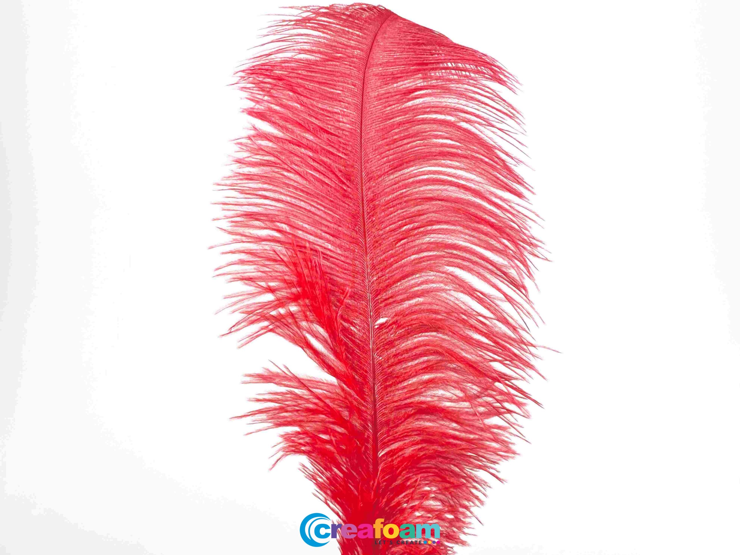 Pluma de avestruz Rojo - Creafoam